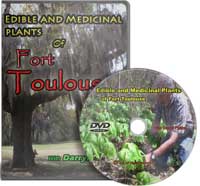 edible-medicinal-plants-fort-toulouse