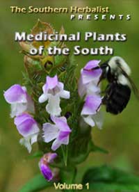 medicinal-plants-of-the-south-volume-1-dvd