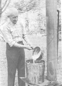 tommie-bass-original-salve